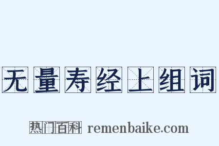 无量寿经上组词是什么意思的图片